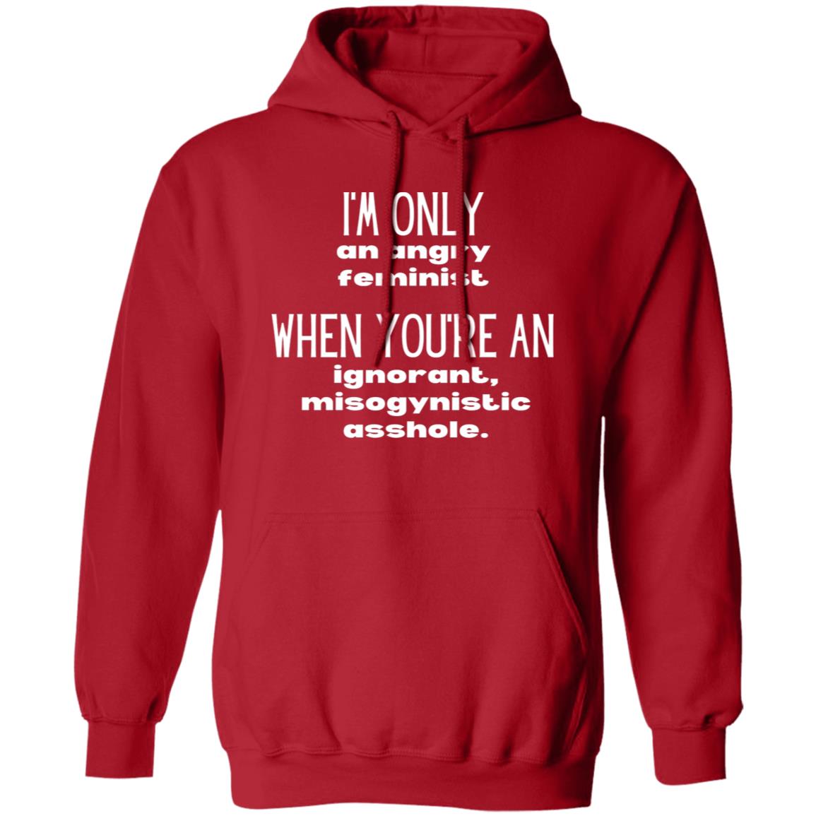 I'm Only An Angry Feminist Hooded Sweatshirt