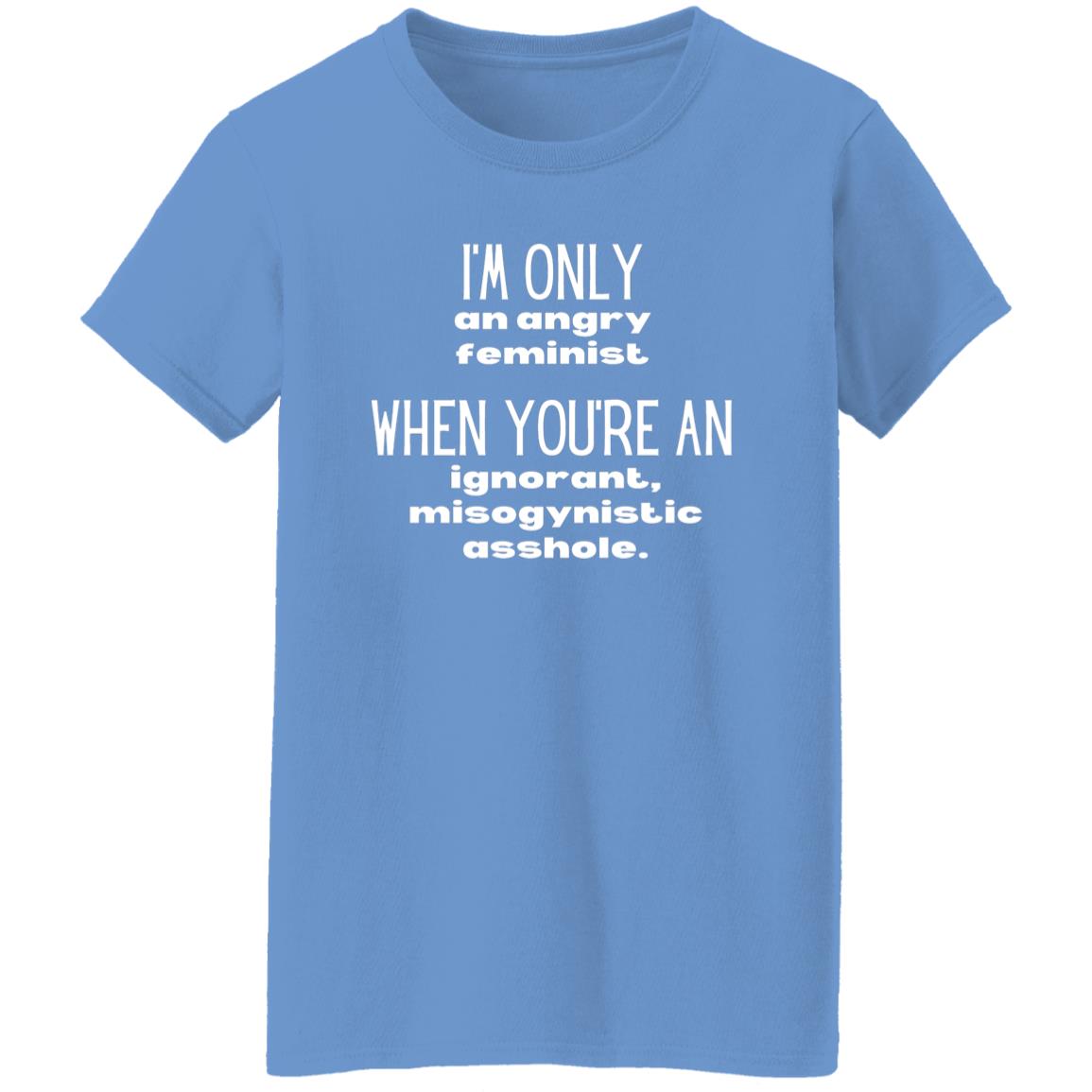 I'm Only An Angry Feminist T-Shirt