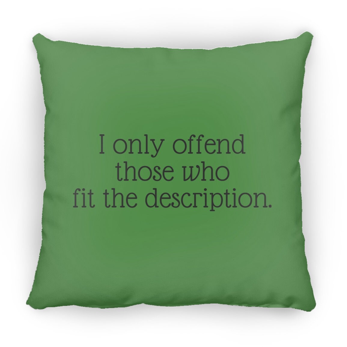 I only offend those who fit the description Throw Pillow